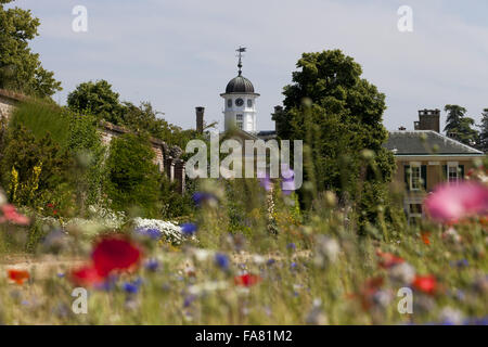 Fleurs du jardin en juillet à Polesden Lacey, Surrey. Banque D'Images