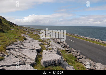 L'Irlande, le comté de Clare, Burren, dur à tête noire Banque D'Images