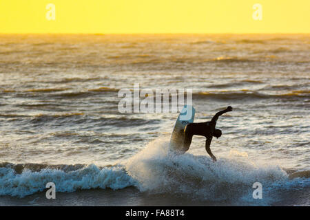 Aberystwyth, Ceredigion, West Wales, UK. 23 Décembre, 2015. Avant d'Eva tempête devrait frapper la côte surfers profiter de l'insolite au temps doux avec la poursuite de grosses vagues sur la côte ouest de Borth juste au nord d'Aberystwyth au coucher du soleil. Credit : Trebuchet Photography/Alamy Live News Banque D'Images