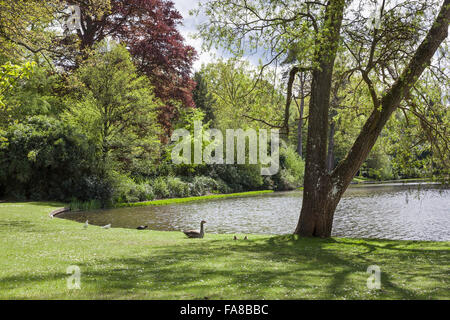 Le lac au Claremont Landscape Garden, Surrey. Le lac comme prévu par Bridgeman en 1715 était circulaire ; le présent forme irrégulière a été créé c.1738 par William Kent. Banque D'Images