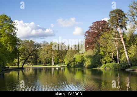 Le lac au Claremont Landscape Garden, Surrey. Le lac comme prévu par Bridgeman en 1715 était circulaire ; le présent forme irrégulière a été créé c.1738 par William Kent. Banque D'Images