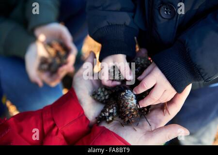 Holding de la famille des pommes de pin dans les mains, se concentrer sur les mains, close-up Banque D'Images