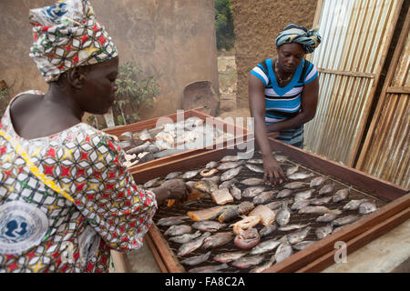 Les femmes dans la province du Sourou, au Burkina Faso ont une petite entreprise de tabac et la vente du poisson. Banque D'Images