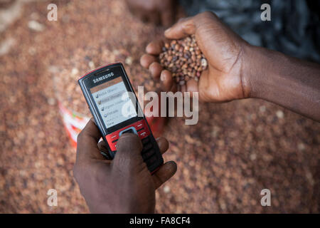 Un acheteur de produits utilise la technologie de la téléphonie mobile pour comparer les prix dans divers marchés dans Banfora Ministère, au Burkina Faso. Banque D'Images