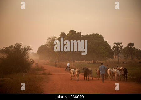 Le soleil se couche dans le village de Tengréla près de Banfora, Burkina Faso. Banque D'Images