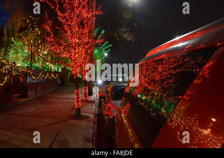 Dyker heights brooklyn les lumières de Noël Décembre 2015 maisons arbres vert rouge bleu Banque D'Images