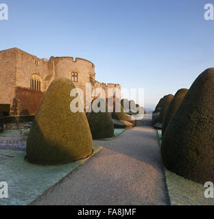 Le front de l'est avec l'if en topiaire jardin formel au château de Chirk, Wrexham, en hiver. Château de Chirk a été construit entre 1295 et 1310, mais le front de l'Est a été réparé et reconstruit au xviie siècle. Banque D'Images