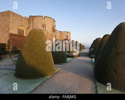 Le front de l'est avec l'if en topiaire jardin formel au château de Chirk, Wrexham, en hiver. Château de Chirk a été construit entre 1295 et 1310, mais le front de l'Est a été réparé et reconstruit au xviie siècle. Banque D'Images