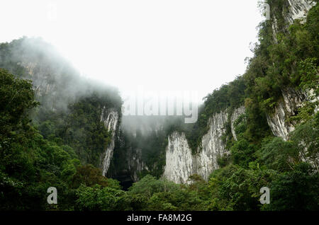 Grotte de cerfs dans le parc national du Gunung Mulu (Malaisie Bornéo Banque D'Images