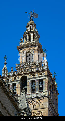 Giralda de la cathédrale de Séville Banque D'Images