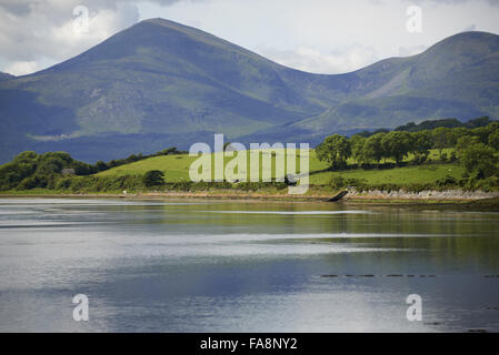 Les montagnes de Mourne, comté de Down, Irlande du Nord. Banque D'Images