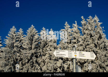 Couvert de neige paysage d'hiver avec signe à feldberg dans le sud de l'Allemagne Banque D'Images