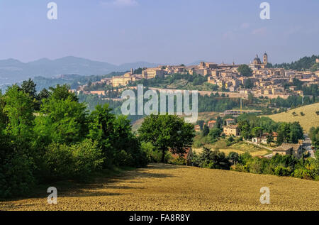 Urbino 03 Banque D'Images