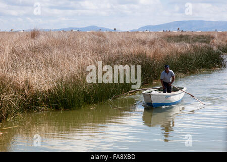 Homme dans un bateau à rames en face de Totora roseaux, Lac Titicaca, Puno, Région Amérique du Sud Banque D'Images