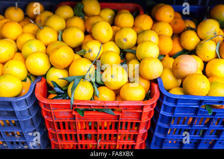 Les oranges fraîches sur l'affichage dans des caisses à un marché d'alimentation à Athènes, Grèce Banque D'Images