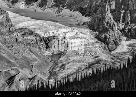 Glacier du Mont Kitchener, Jasper National Park, Canada Banque D'Images