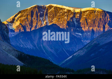 Mont Kitchener, Jasper National Park, Canada Banque D'Images