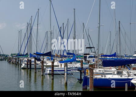 Un groupe de voiliers amarrés à une marina. Banque D'Images