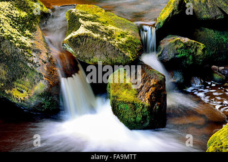 Allemagne (Bavière). Petite cascade d'un ruisseau de montagne dans le Parc National de la Forêt bavaroise Banque D'Images