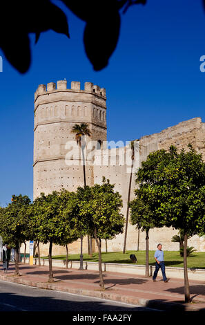 Alcazar.murs extérieurs. 12e siècle, Jerez de la Frontera, Andalousie, Espagne Banque D'Images