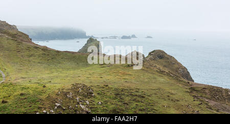 Kynance Cove en un jour brumeux, le lézard, Cornwall, UK Banque D'Images