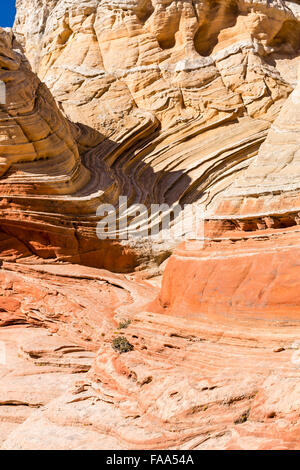 En courbe et sinueuse rocks dans l'unique et à distance des formations de roche poche blanc à Vermillion Cliffs National Monument en Arizona Banque D'Images