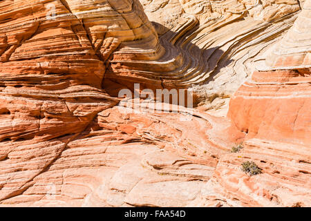 En courbe et sinueuse rocks dans l'unique et à distance des formations de roche poche blanc à Vermillion Cliffs National Monument en Arizona Banque D'Images