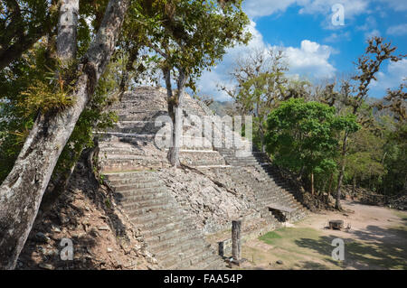 Structures de la cour à l'ouest du site archéologique de Copan au Honduras Banque D'Images