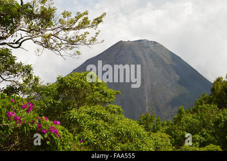 Le pic de l'idéal et les jeunes actif volcan Izalco à Cerro Verde National Park, El Salvador Banque D'Images