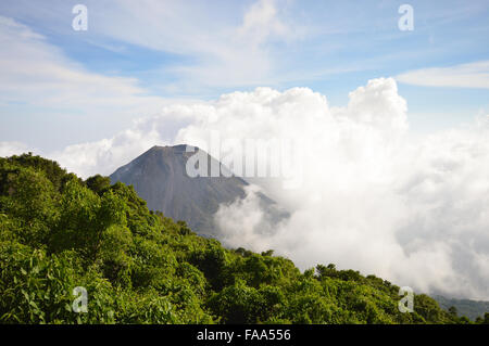 Le pic de l'idéal et les jeunes actif volcan Izalco à Cerro Verde National Park, El Salvador Banque D'Images