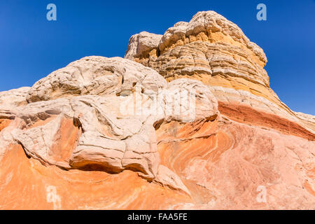 Un rocher en forme de tortue dans l'unique et à distance des formations de roche poche blanche à Vermillion Cliffs National Monument dans l'Arizona. Banque D'Images