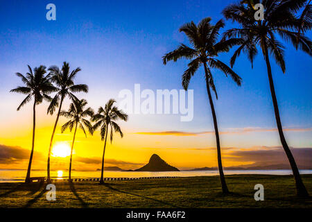 Belles couleurs d'Hawaii golden hour Banque D'Images