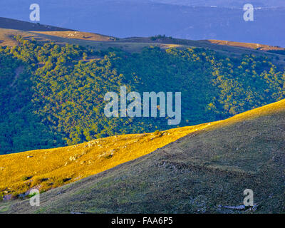 Des plans de la région de Campo Imperatore Abruzzes, Italie Banque D'Images