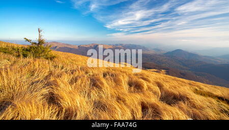 Bieszczady, Pologne Banque D'Images