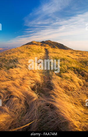 Bieszczady, Pologne Banque D'Images