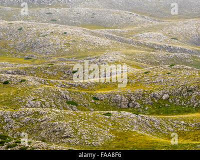 Des plans de la région de Campo Imperatore Abruzzes, Italie Banque D'Images