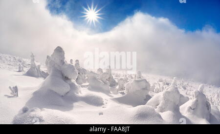 Hiver neige paysage avec un soleil sur le ciel bleu, les montagnes de Karkonosze, Pologne Banque D'Images