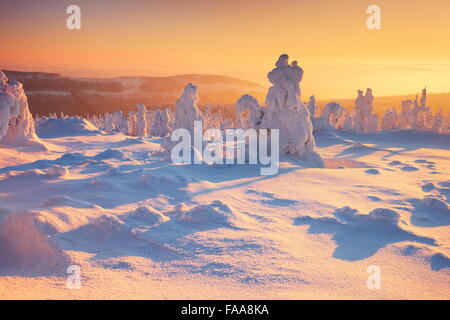 Paysage d'hiver à l'heure du coucher du soleil, montagnes de Karkonosze, Pologne Banque D'Images