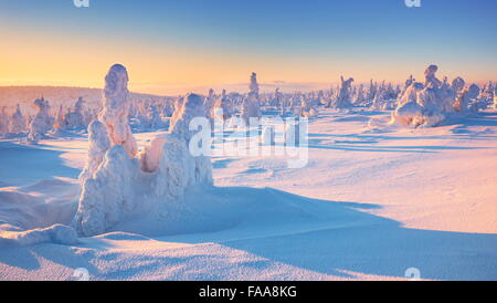 Paysage d'hiver à l'heure du coucher du soleil, montagnes de Karkonosze, Pologne Banque D'Images