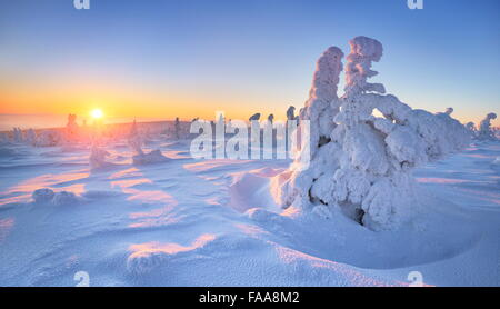 Paysage d'hiver avec le coucher du soleil dans un arrière-plan, les montagnes de Karkonosze, Pologne Banque D'Images