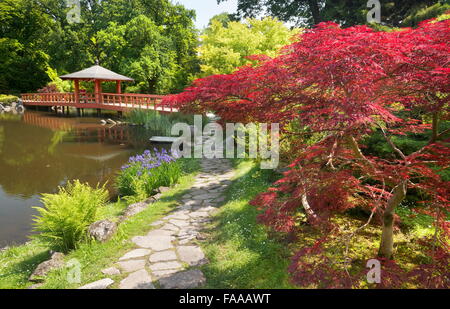 Wroclaw - Jardin Japonais dans le Parc Szczytnicki, Pologne Banque D'Images