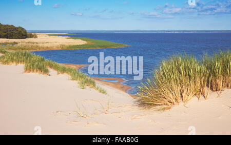 Leba - dunes ameuhsante dans le Parc National Slowinski, lac Lebsko, Poméranie, Pologne Banque D'Images