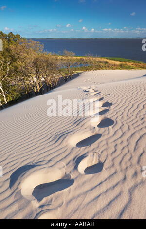 Leba - dunes ameuhsante dans le Parc National Slowinski, Poméranie, Pologne Banque D'Images