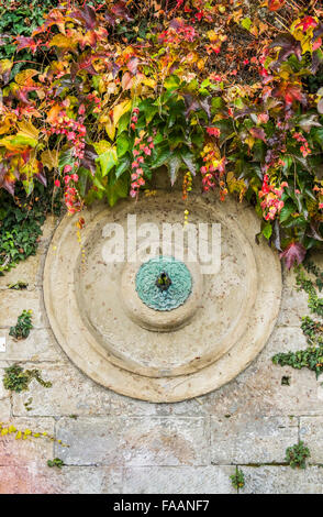 Envahi par la fontaine de style néo-mauresque, couleurs d'automne, le jardin botanique-zoologique Wilhelma, Stuttgart, Bade-Wurtemberg Banque D'Images