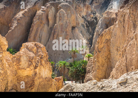 Oasis de montagne Chebika à la frontière du Sahara, Tunisie, Afrique Banque D'Images