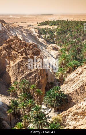 Oasis de montagne Chebika à la frontière du Sahara, Tunisie, Afrique Banque D'Images