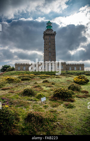 Cap Fréhel, Bretagne (Côte Nord) Banque D'Images