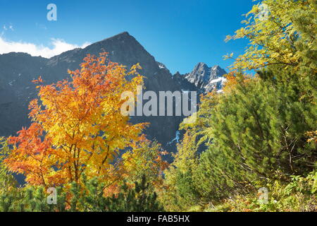 Automne dans la vallée de Kiezmarska, montagnes Tatra, Slovaquie Banque D'Images