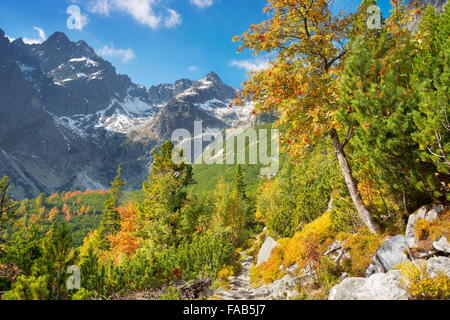 Automne dans la vallée de Kiezmarska, montagnes Tatra, Slovaquie Banque D'Images