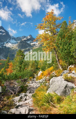 Automne dans la vallée de Kiezmarska, montagnes Tatra, Slovaquie Banque D'Images